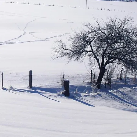 Panoramic Stay, Apartment